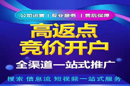竞价广告的投放技巧与误区：从失败到成功的转变案例